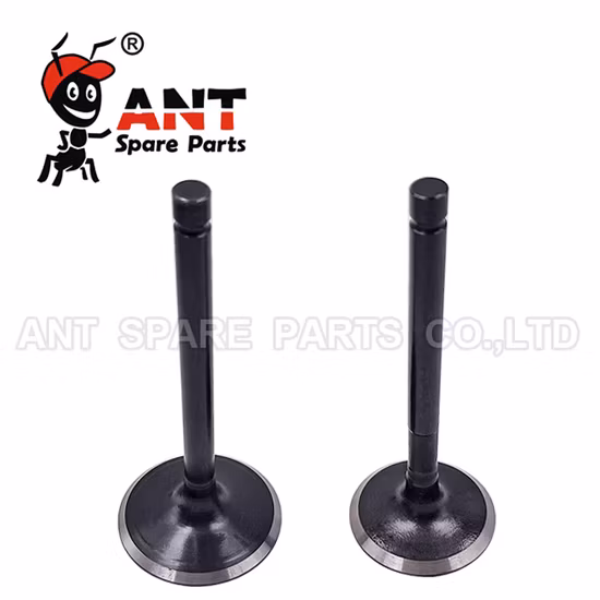 Peça de motor diesel de alta qualidade C9 Ex&in Valve 241